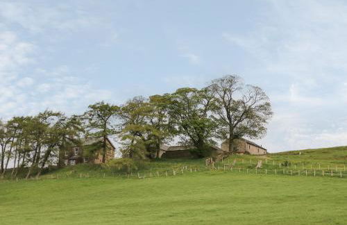 Clove Cottage - Foto 22