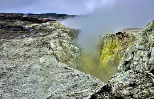 Comfort Nest - Foto 50