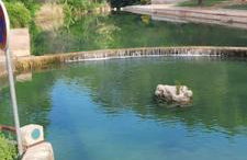 Casa Ludese - Foto 18