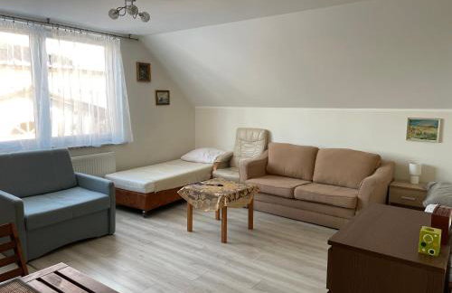 Agroturystyka nad stawami - Foto 43