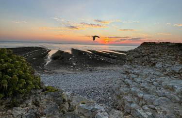 Maison de charme First d'Aromm - Plages, centre ville, phare de Chassiron - Calme, jardin clos, terrasse - Foto 13