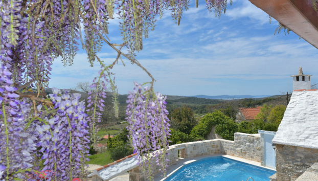 Villa Glicinia - Foto 2, Outdoor