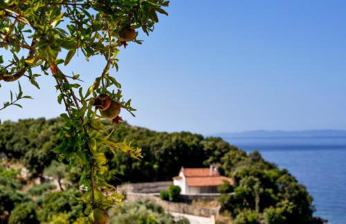 Prima Vista Beachfront Boutique Hotel - Foto 14