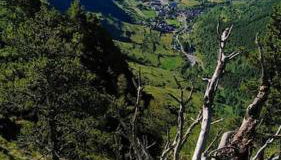 Espot Natura - Apartament de muntanya al PN Aigüestortes i Sant Maurici - Photo 4