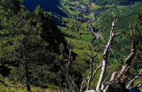 Espot Natura - Apartament de muntanya al PN Aigüestortes i Sant Maurici - Photo 4