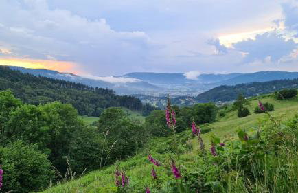 RELAX CHALET Nature Retreat - isolé sur 3 hectares - confort de LUXE - maison entière 150m2 - près de La Bresse - Foto 15