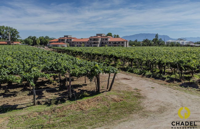 Buena Vid by Chadel Management - Foto 1