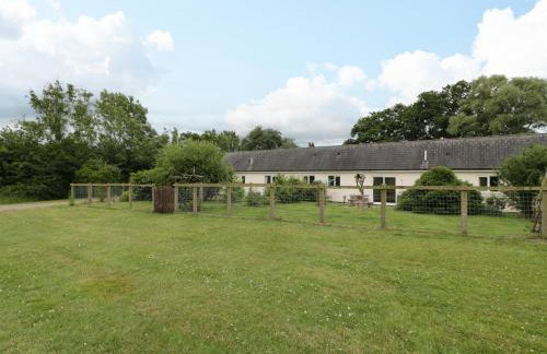 The Turbles - Wagtail - Foto 18