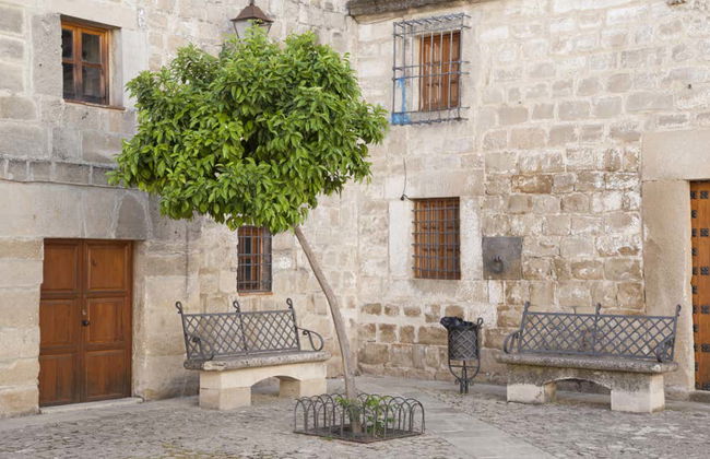 Visita guiada por Úbeda con entradas - Foto 1