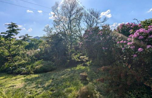 Panoramic Mountain Retreat - Waen Fechan - 4x4 access only - Foto 27