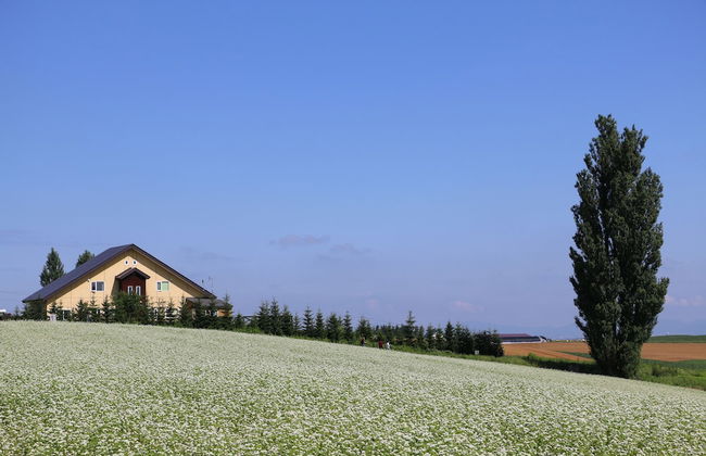 Cottage Ken&Mary - Foto 30