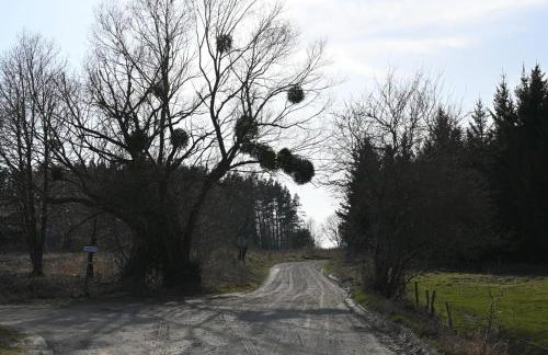 Feel-Harmonia w Nowym Kawkowie - Foto 19