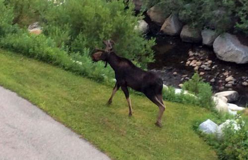 Ski-InandSki-Out Solitude Condo with Rooftop Hot Tub! - Foto 28