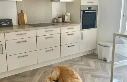 REHBLICK Ferienwohnung - Foto 7