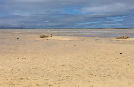 Granillo Beach Calm - Photo 22