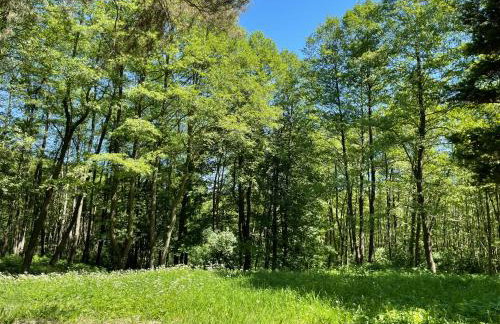 U źródła. Noclegi w Małym Dólsku - Foto 31