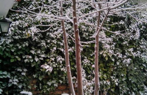 La Casilla - Photo 2