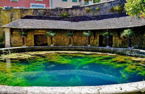 Le Jardin des Bois - 5 min de la Fosse Dionne - Foto 11