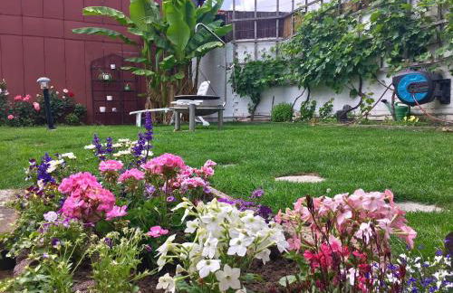 Ferienwohnung Apartment Dettum mit eigenem Bad, Kochnische und Wintergarten - Foto 38