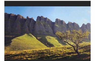 Woodland lodge, apartment - Foto 42