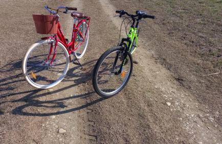 Ruralna kuća za odmor LOVRAK - Foto 24