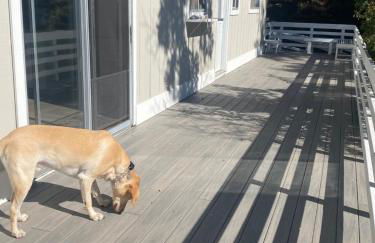 Sunset Serenity - INCREDIBLE HOME ON LAKE BLUFF! - Photo 7