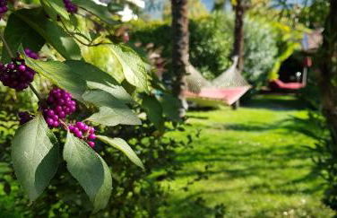 Hotel Gartenresidence Zea Curtis - Foto 31