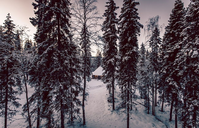 Villa Happy Fox - Photo 45