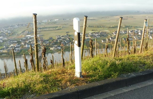 in Landhuisstijl met Uitzicht op de Moezel - Photo 12