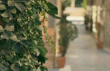 Ammoudara Beach Hotel & Apartments - Foto 28