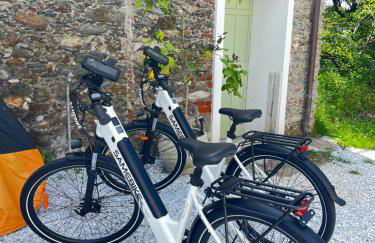 La casina Versilia - Photo 32