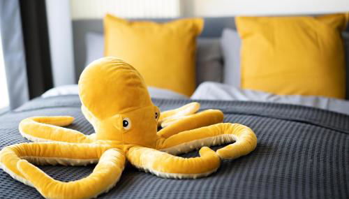 FullHouse - Chemnitz - HS46 - 3 Bedrooms - SmartTV - Foto 4