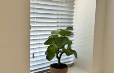 The Wilsons Courtyard, 2 - Bed, Sleeps 4, Pets Welcome - Foto 22