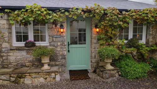 Little Cloud - Photo 3