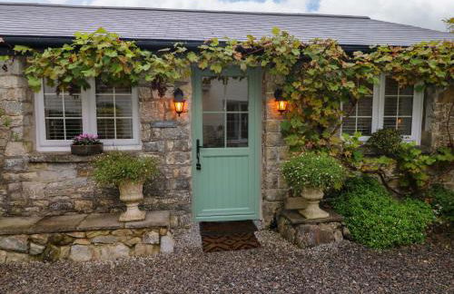 Little Cloud - Photo 3