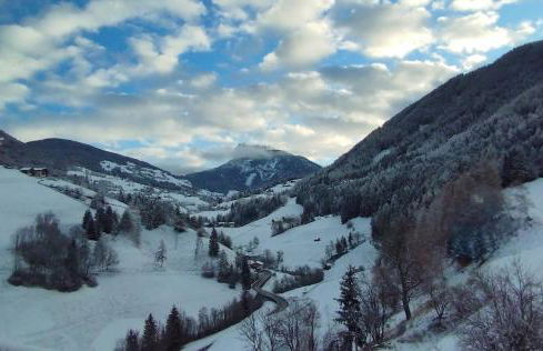 Planerhof Apartment Alpenrose - Photo 33