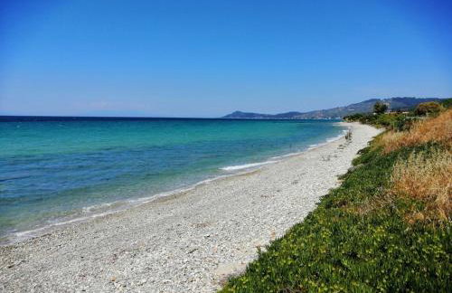 Herodicus villa - Foto 34