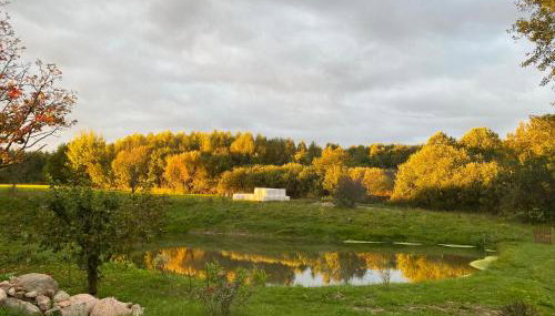 Rancho „Czajone na pigwowcu” - Foto 5