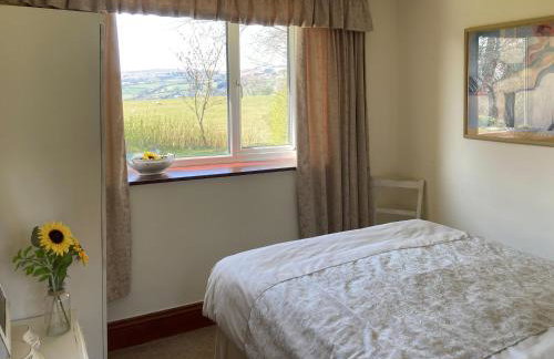 Steep Holm - Foto 14