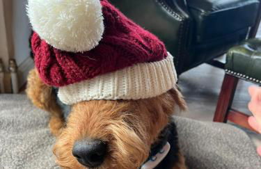 Seelenglück - Foto 48