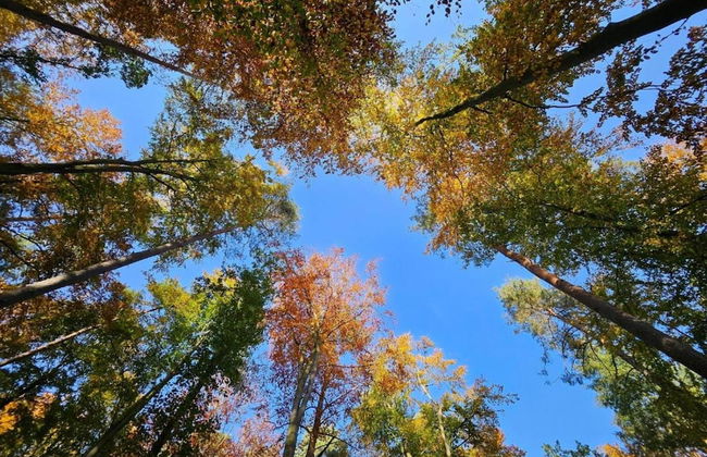 Appartement mit Fantastischer Aussicht - Foto 26