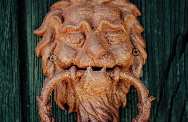 Casa Videira Turismo Rural - Foto 53