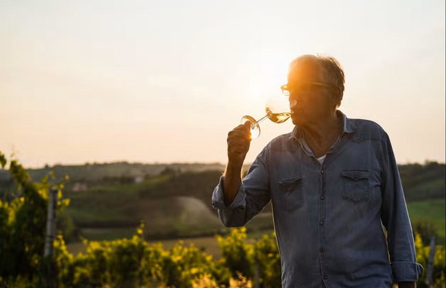 Atardecer en el Chianti con cena y cata de vinos - Foto 3