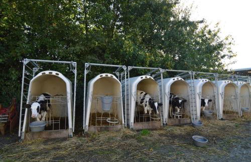 Lovely Holiday Home in Osmanville With Terrace - Foto 73