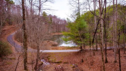 Alpine Joy-Hot Tub, Pond Access ,Cozy Cabin Retreat in the Smokies - Foto 2