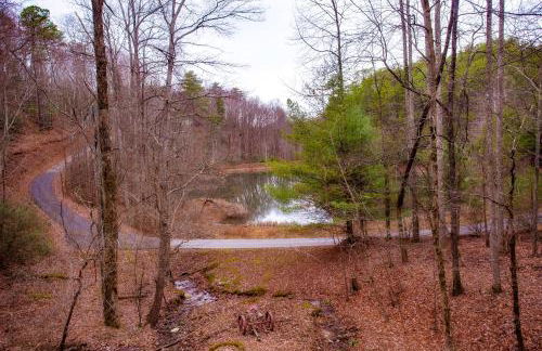Alpine Joy-Hot Tub, Pond Access ,Cozy Cabin Retreat in the Smokies - Foto 2