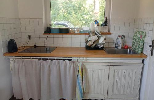 Dom Leśny - Foto 14