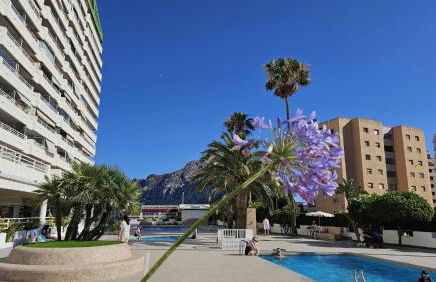 Apartamentos Esmeralda 111 B - Photo 18