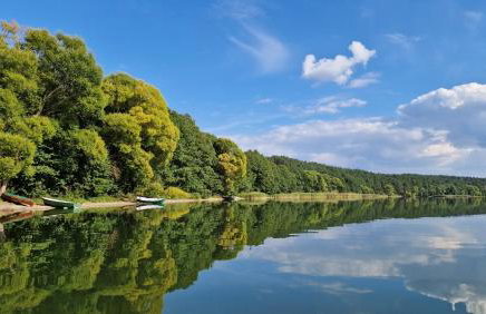 Wczasowe Wzgórze Swornegacie - Foto 8