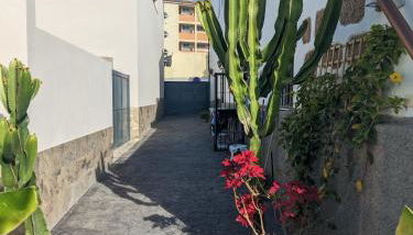 Casa Roberta Aire - Foto 4, Garden